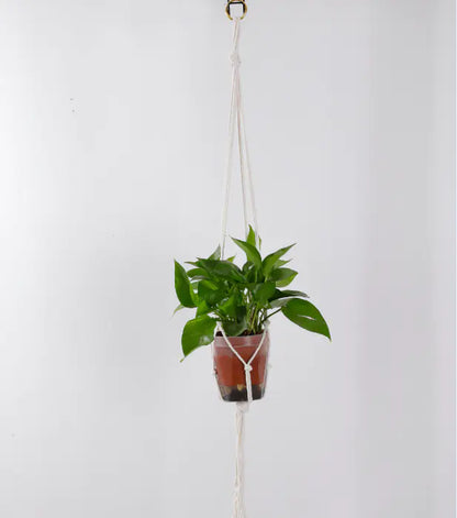 DIY Nordic Style Woven Cotton Rope Hanging Basket